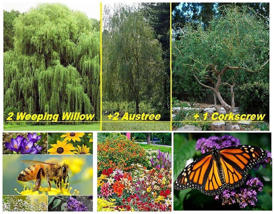 EarthCare - Carbon Neutral Imprint Kit - Counteract Your Carbon Footprint by Planting 6 Trees and a Perennial Butterfly Garden. Easy and Fun.