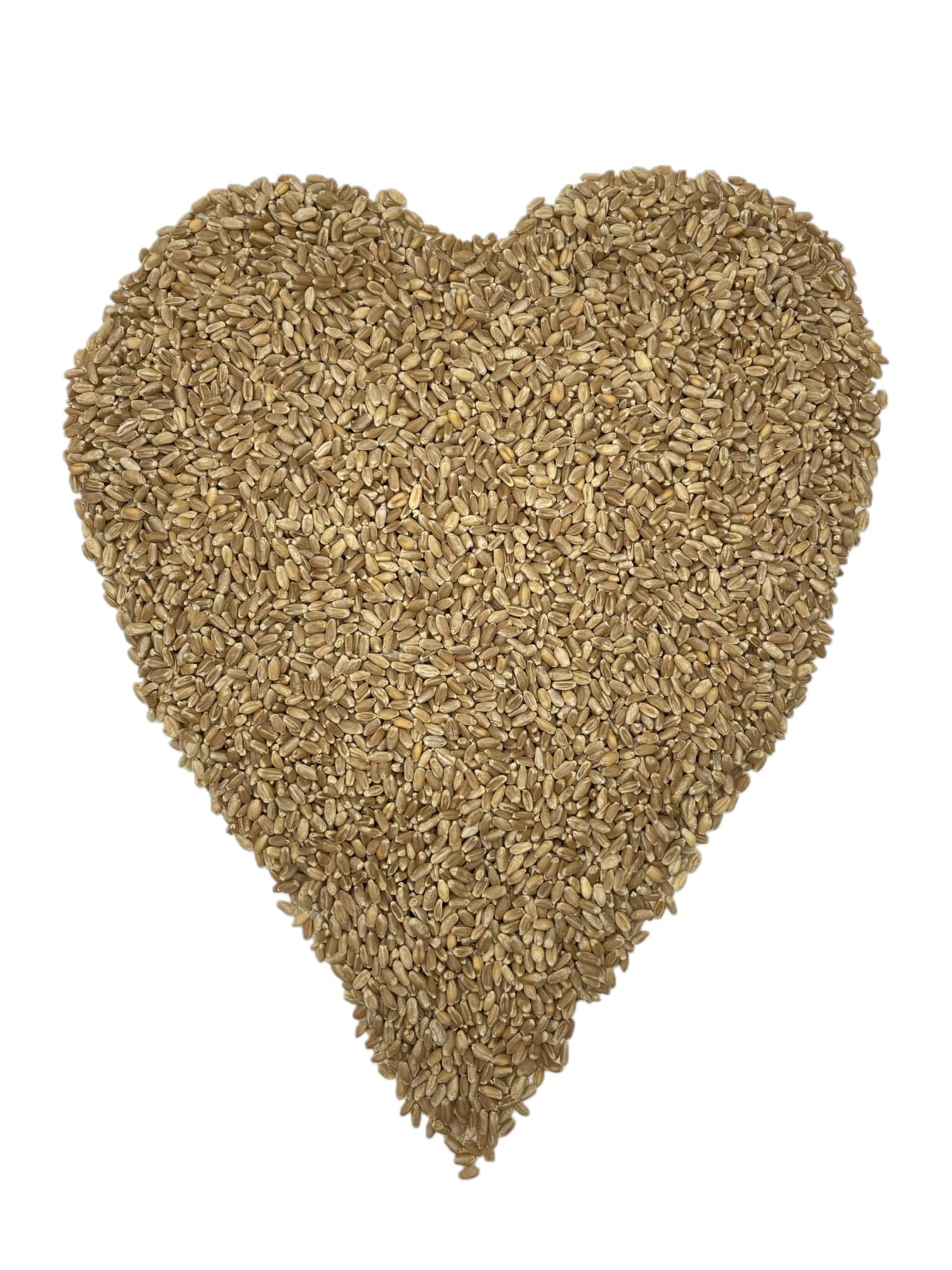 Executive Deals All Organic Hard Red Wheat Berries, Non-GMO & USDA Certified - 5 Pounds (Double-Sealed)