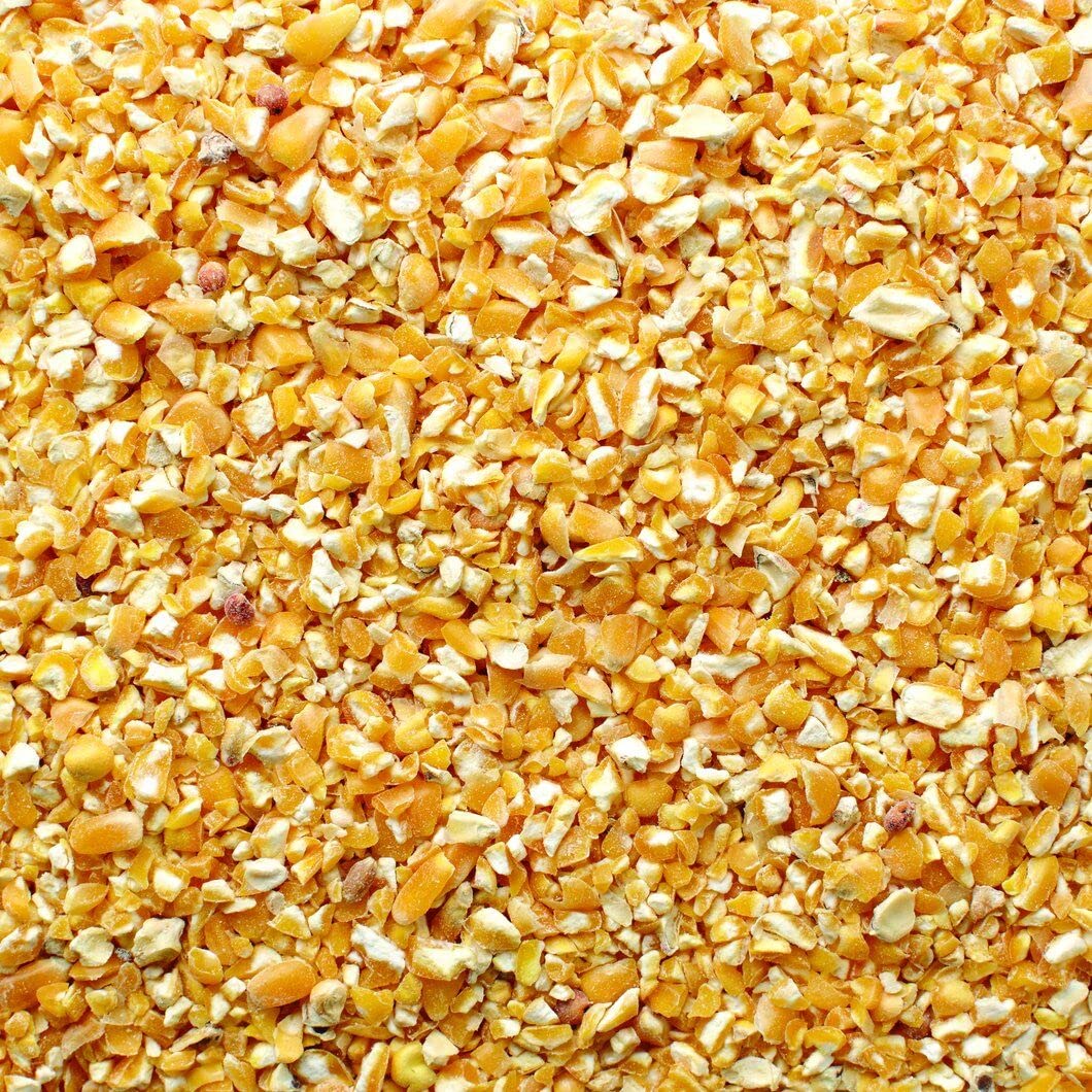 CZ Grain Premium Cracked Corn Feed for Deer, Squirrels, Birds, Beef Cattles, Wildlife