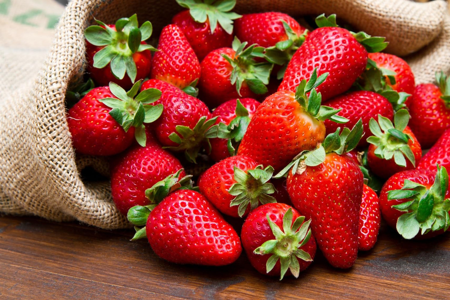Brunswick Strawberry Roots to Grow - Large and Delicious Red Strawberries - Healthy Rootstock