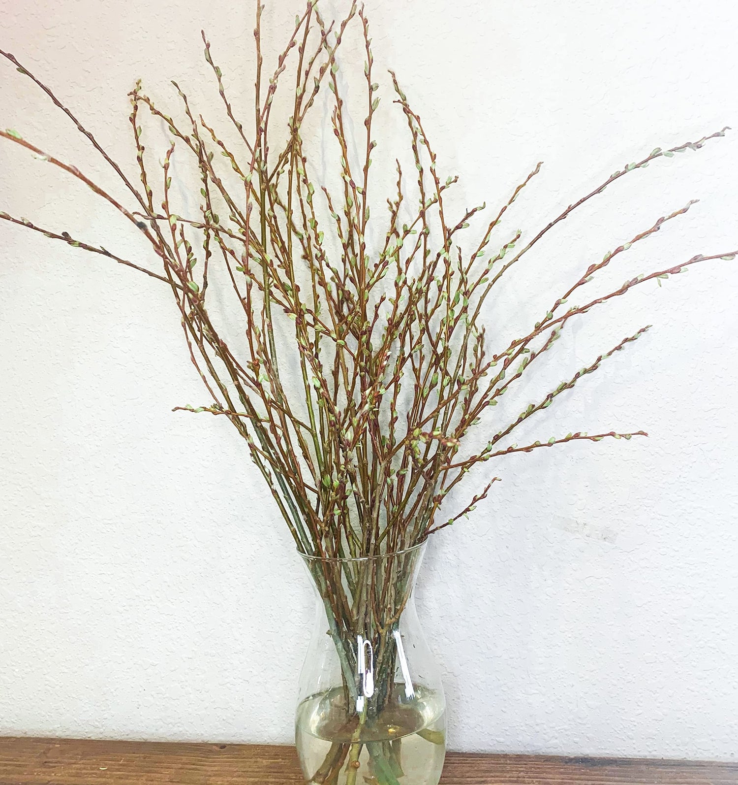 Living Table Vase Decor - Live and Growing Willow Branches - No Vase Included - They Grow in Water for Weeks - Table Decor, Wedding Decor