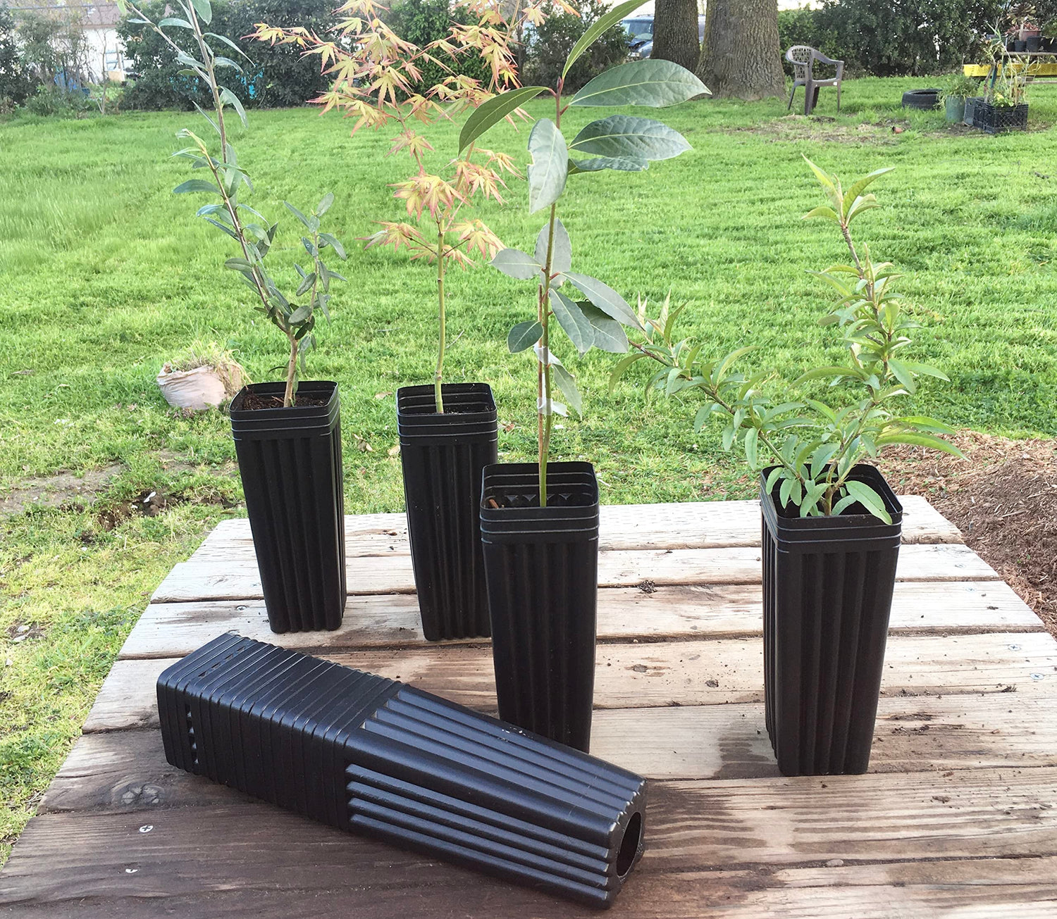 Tree Pots 8" H X 3" W Sturdy (10 Pack) - 8 Inch Deep Treepots - Seedling Grafting Pot - for Commercial & Nursery Use - Large Drainage Hole
