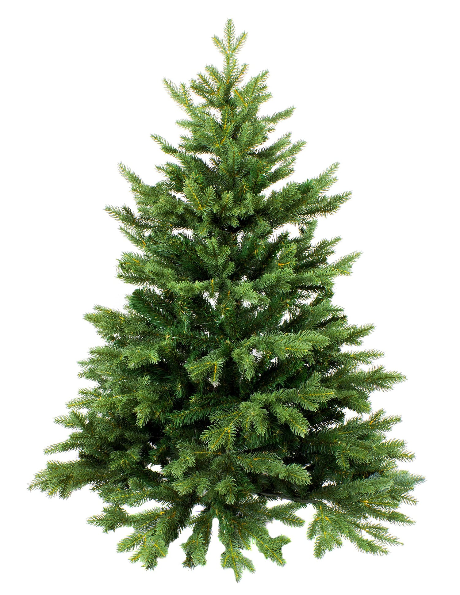 Red Spruce Tree Seeds - 30 Seeds, Ships from Iowa, USA - Picea rubens