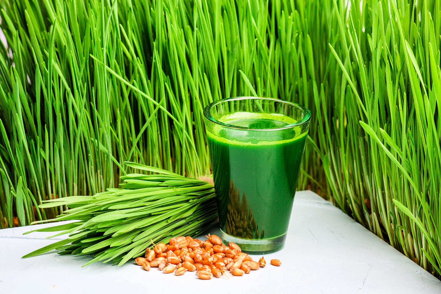 Large Complete Wheatgrass Grow Kit - 10in x 20in Grow Tray and Cover, (3X) Jute Growing Medium, and (3X) Seed Packets. 10 Days to Harvest. 3 Keto Friendly Wheatgrass Grows