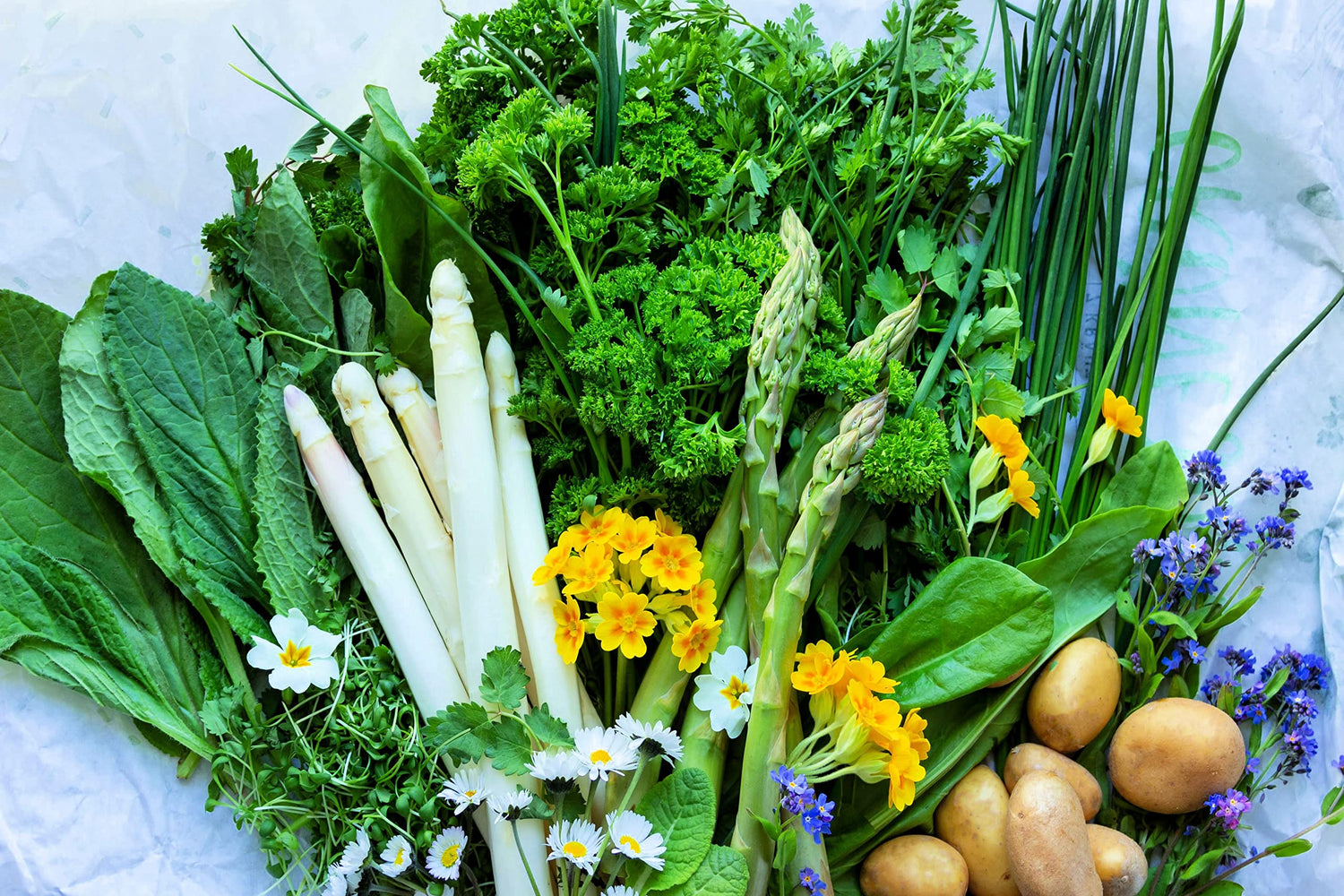 Keto Vegetable Garden Kit - Grow Your Own Keto Food - Asparagus, Cauiflower, Mashed Potato Squash, Spaghetti Squash, Zucchinni