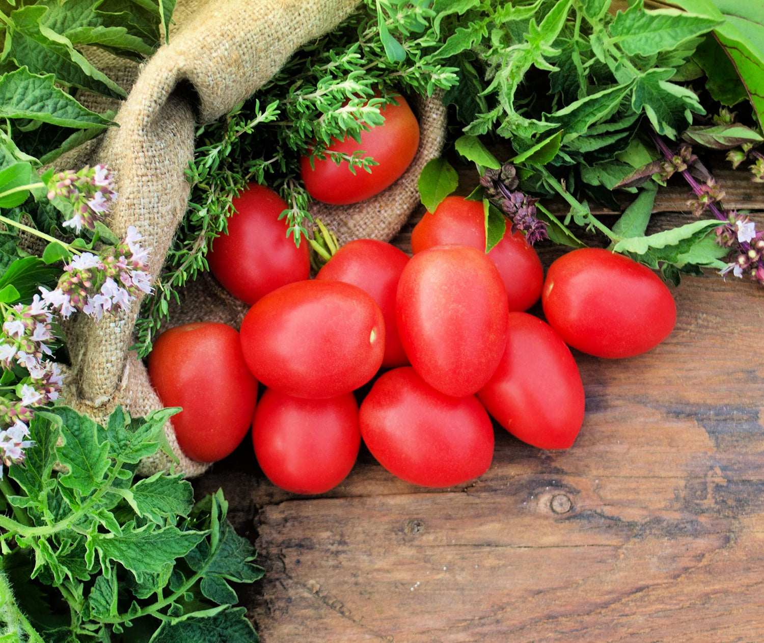 Pink Cherry Tomato Seeds (40+ Seeds) | Non GMO | Vegetable Fruit Herb Flower Seeds for Planting | Ships from Iowa, USA